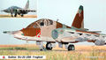Su-25_ambientato