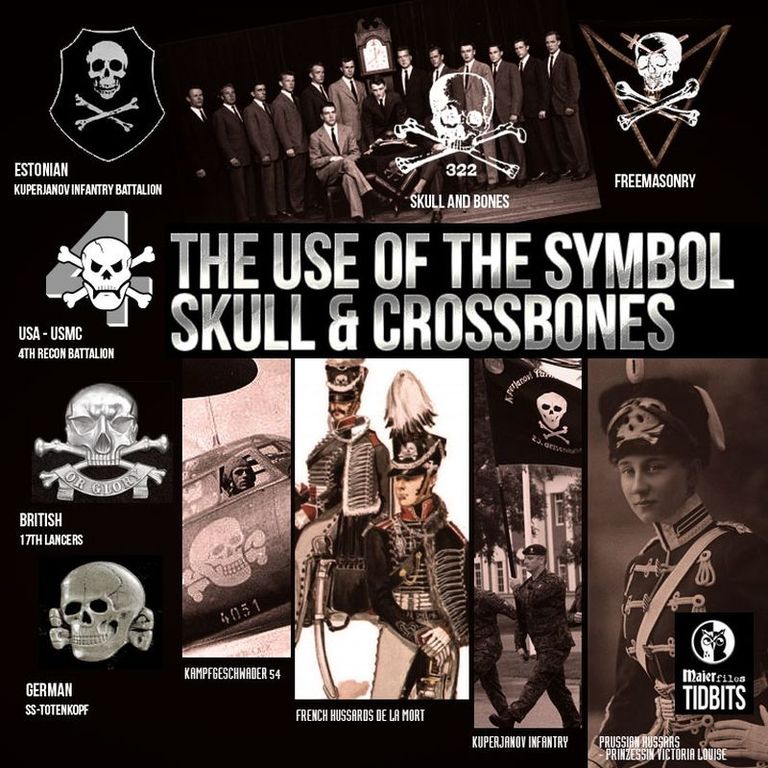 skull_bones