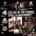 skull_bones