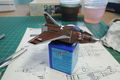 DSCN8710.JPG