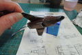 DSCN8711.JPG