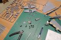 DSCN5805.JPG