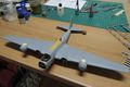 DSCN5817.JPG