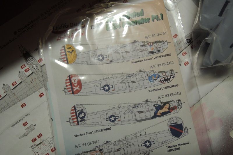 DSCN5553.jpg