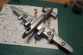 DSCN5685.JPG