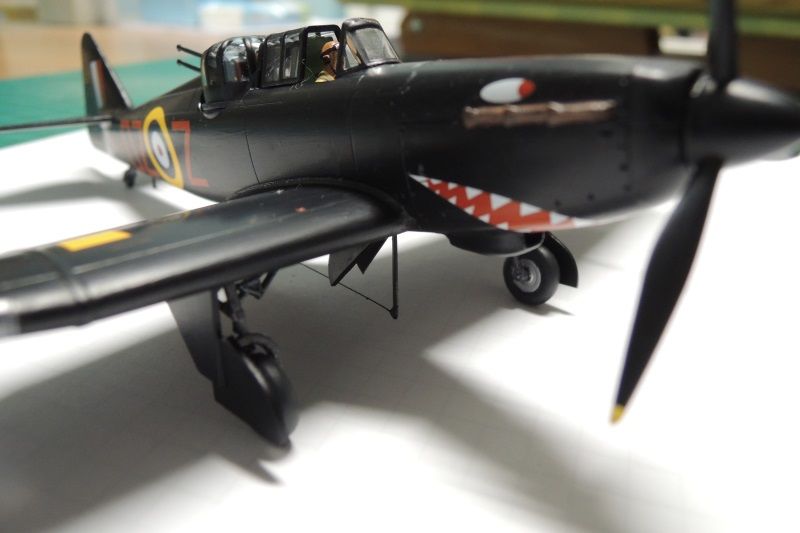 DSCN6658.JPG