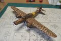 DSCN5903.JPG
