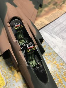 IMG_4243