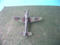 DSCN8669