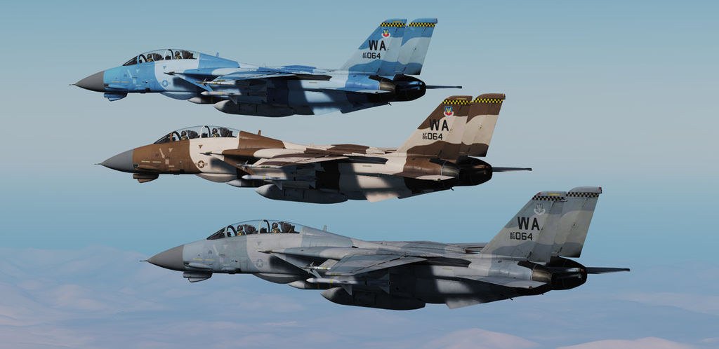 Tomcat skins 1