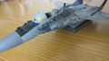MiG-29AS 055