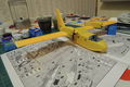 DSCN9074.JPG
