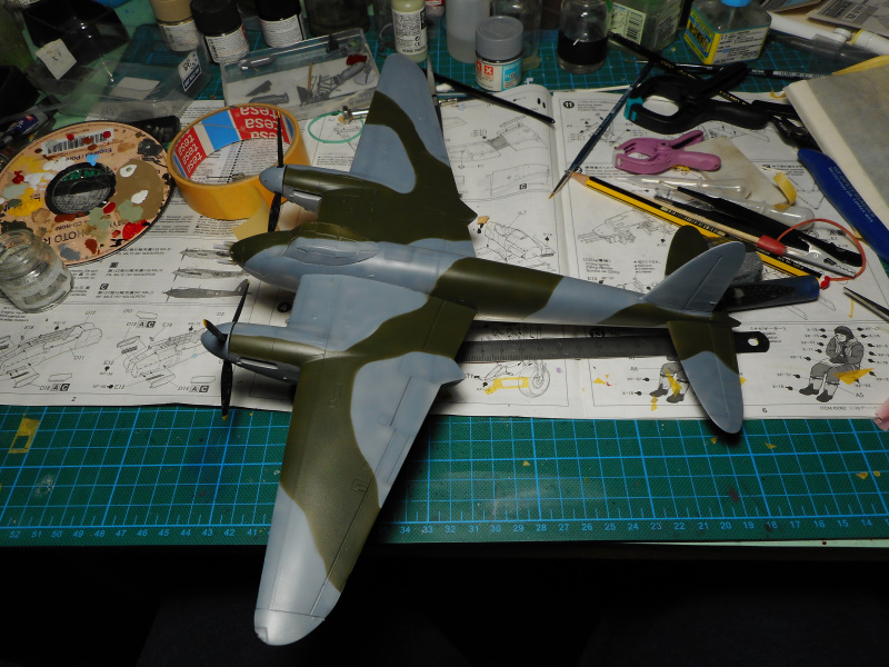 mosquito_22_01