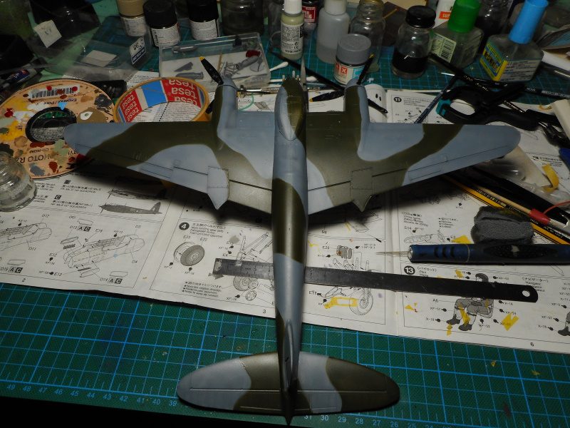 mosquito_23_01