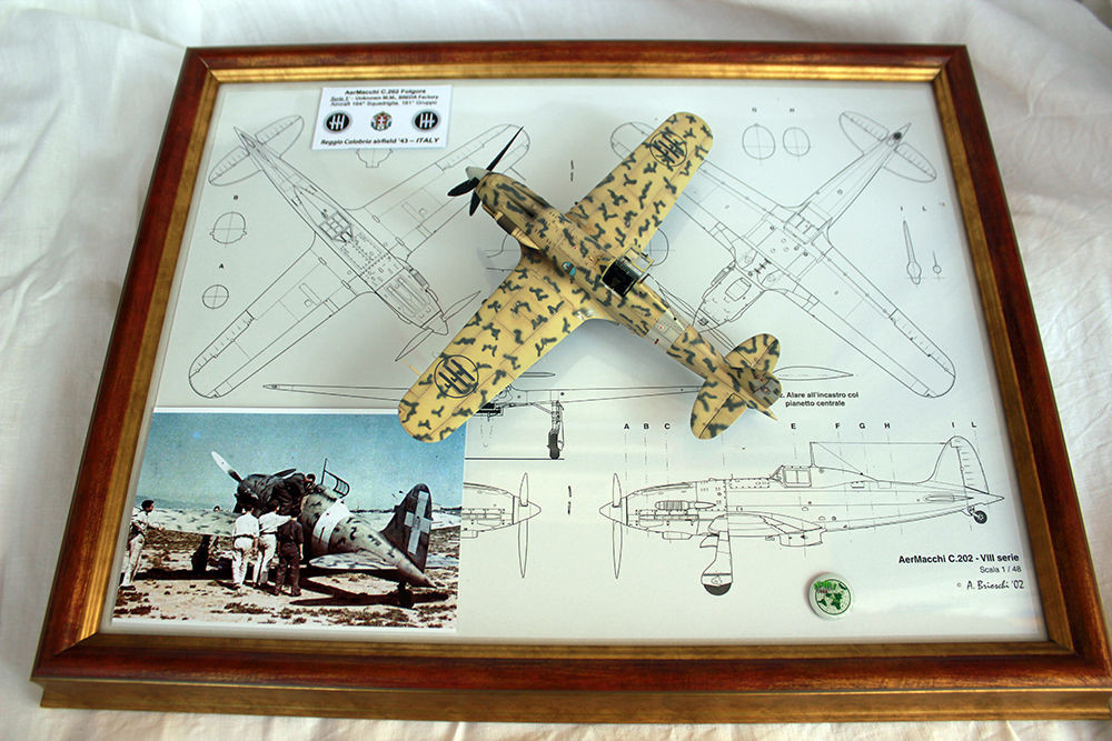 Macchi C.202 - photo 53