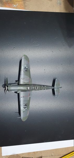 20201002_165001.jpg