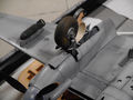 mosquito_36_01