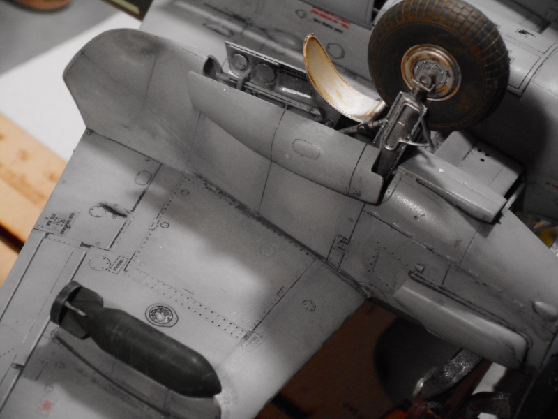 mosquito_37_01