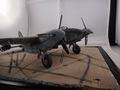 mosquito_39_01