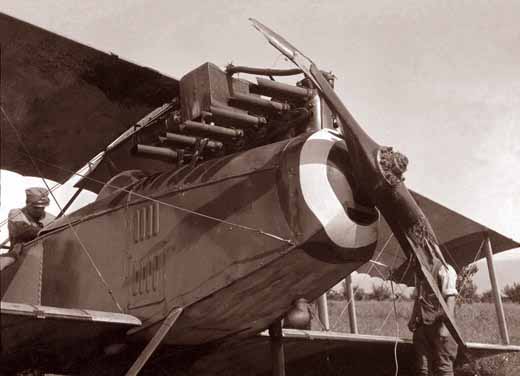 SAML S.2 nose tricolor