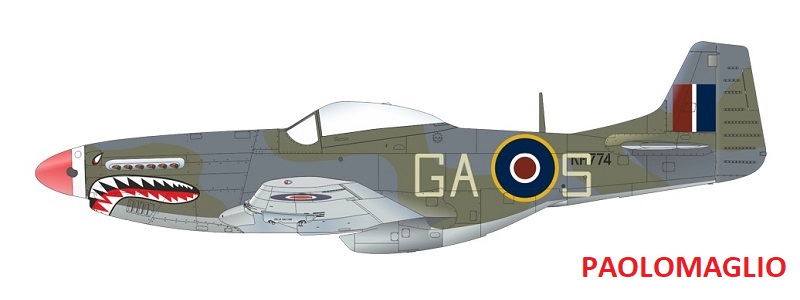 P-51D - Paolomaglio