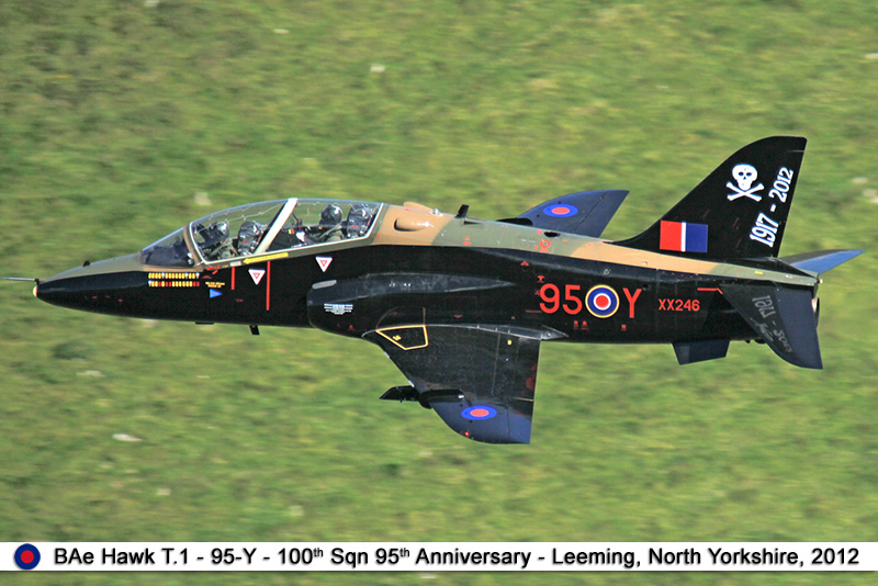 Hawk_00