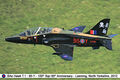 Hawk_00