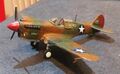 CP 2023 P-40E Revell Dont Worry 027