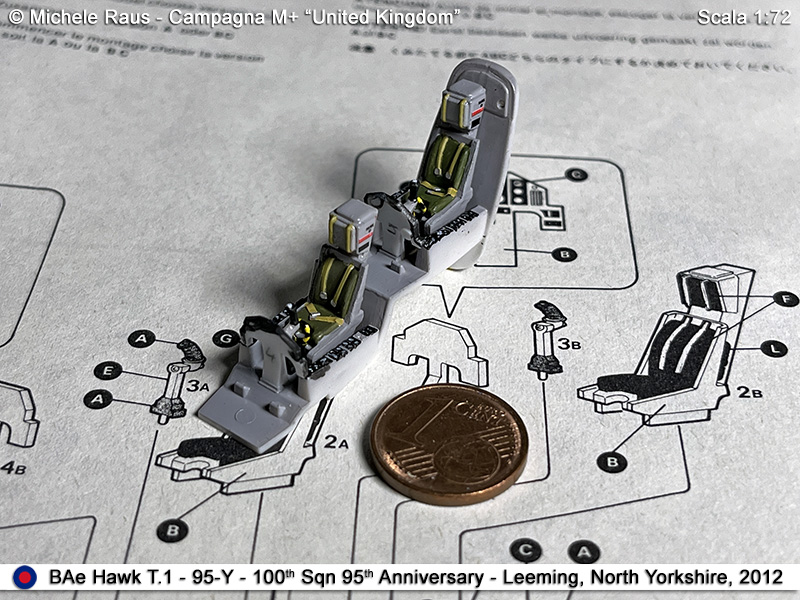 Hawk_05