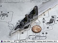 Hawk_09