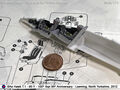 Hawk_10
