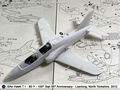 Hawk_17