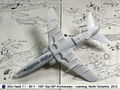 Hawk_19