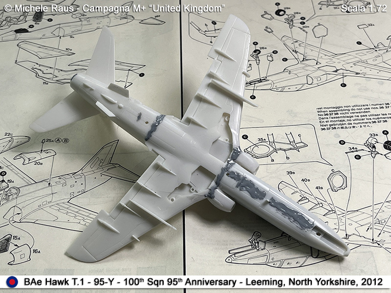 Hawk_20