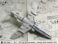 Hawk_20
