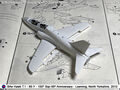Hawk_21