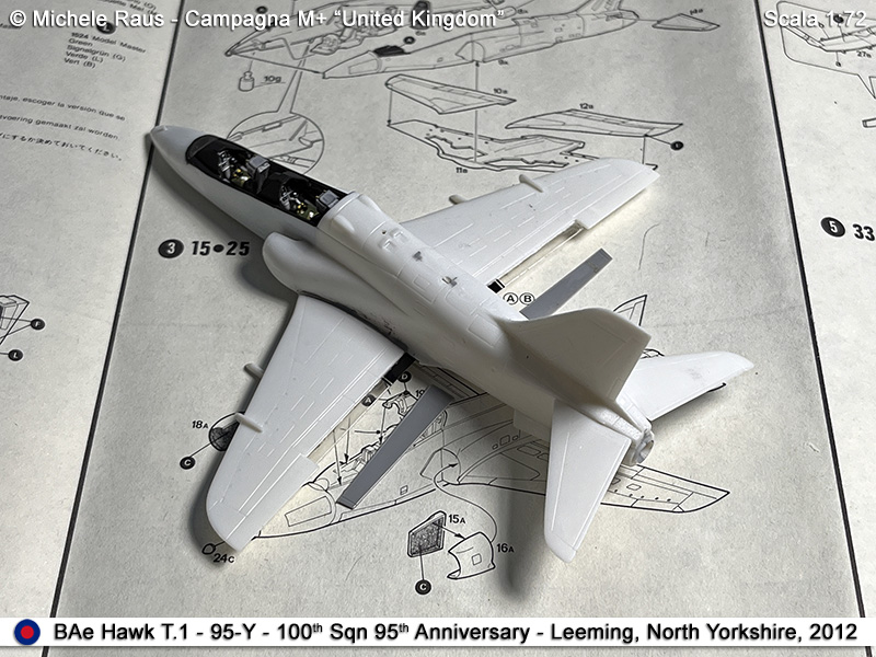 Hawk_23