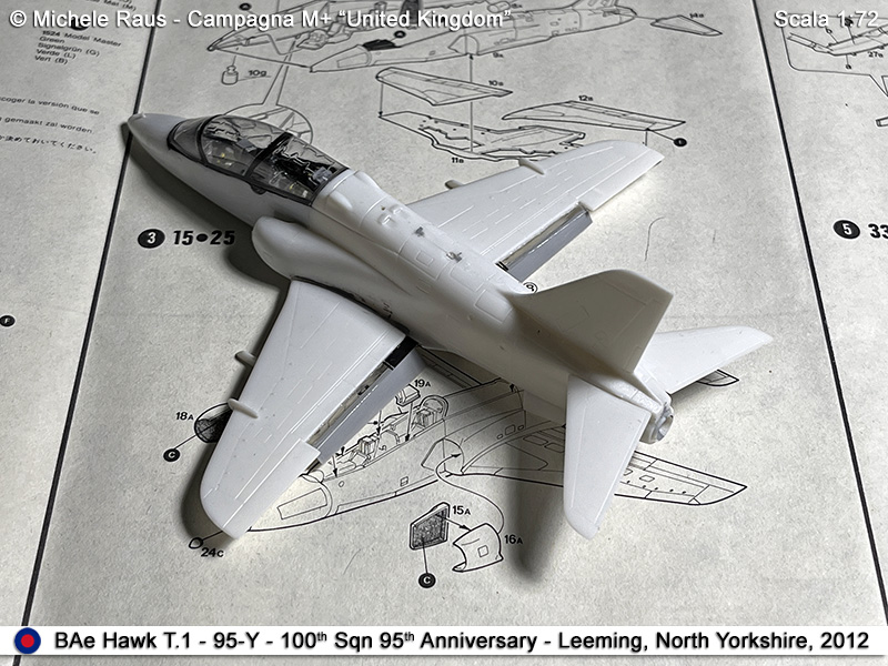 Hawk_24