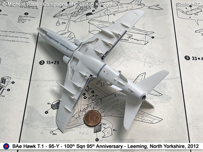 Hawk_25