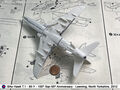 Hawk_25