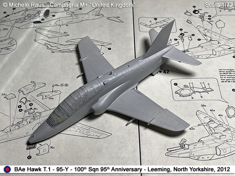 Hawk_28
