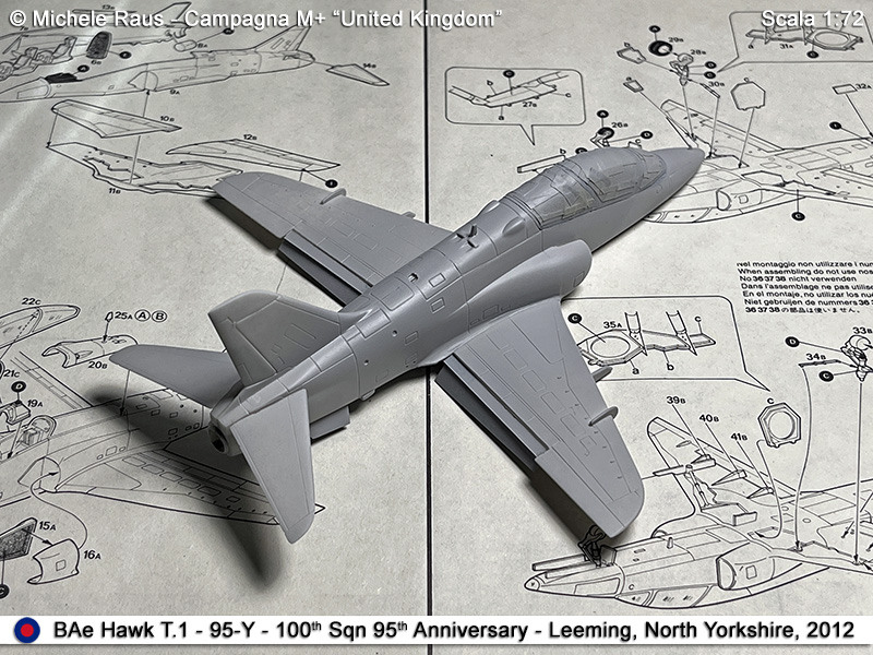 Hawk_30