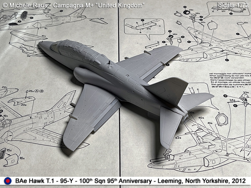 Hawk_31