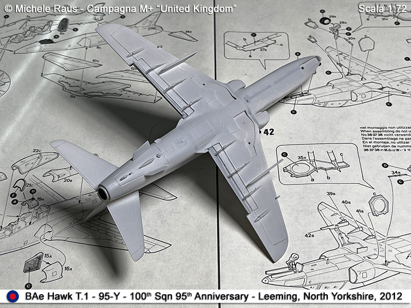 Hawk_33