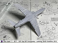 Hawk_33