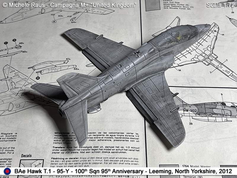 Hawk_35