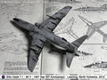 Hawk_37