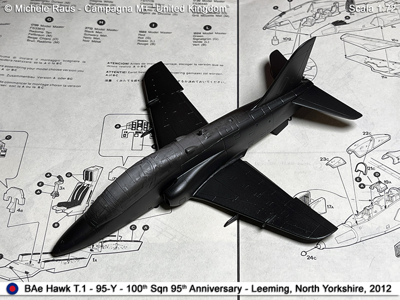 Hawk_39