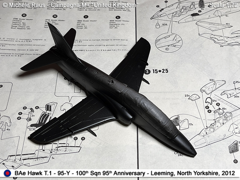 Hawk_40