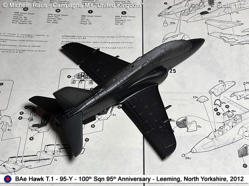 Hawk_41